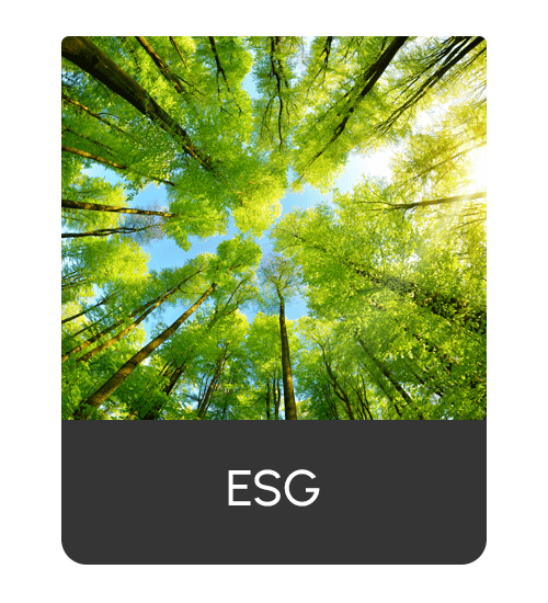 ESG